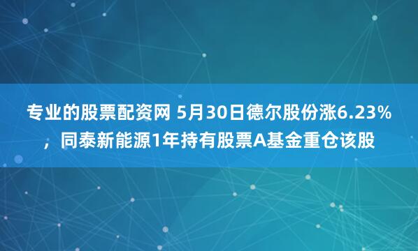 专业的股票配资网 5月30日德尔股份涨6.23%，同泰新能源1年持有股票A基金重仓该股